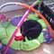 cat-babygym-sml-sq.jpg