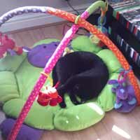 Charlie in the play gym