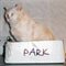 cat-bed-sml-sq.jpg