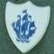 Blue-Peter-badge-911-18366329-0-0-6520-60.jpg