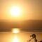 Dead-Sea-at-sunset-911-18296621-0-0-7004268-60.jpg
