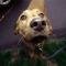 Dog-911-18315683-0-0-4001663-60.jpg