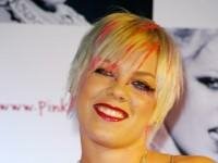 Pink sued by artist.