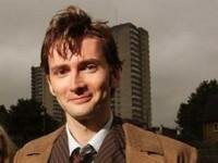 Doctor Who&acute;s celery fortune