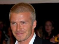 David Beckham&acute;s Spice ban