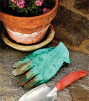 Gardening tips