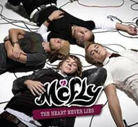 McFly - The Heart Never Lies cover